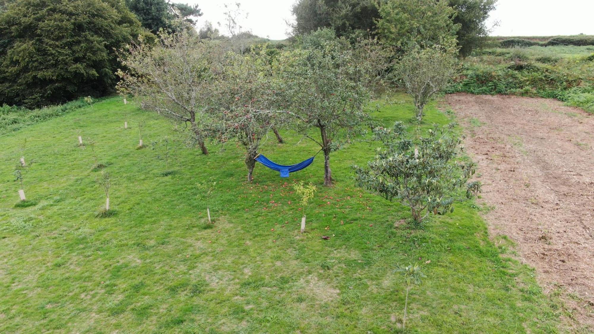 A Casa Da Balbina Villa Betanzos Dış mekan fotoğraf