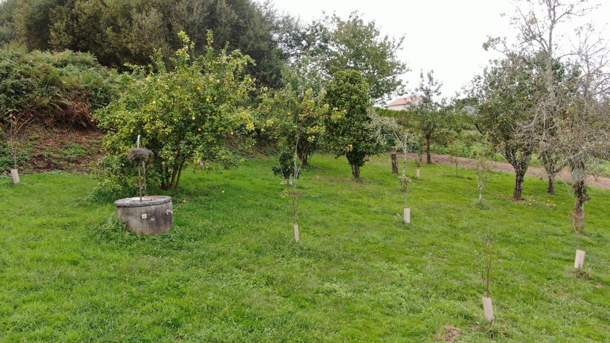 A Casa Da Balbina Villa Betanzos Dış mekan fotoğraf